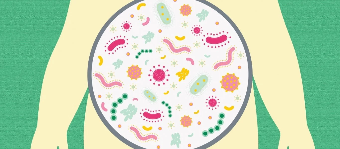 Όσα πρέπει να γνωρίζετε για τα προβιοτικά και το αδυνάτισμα - Σε ποιες τροφές θα τα βρείτε